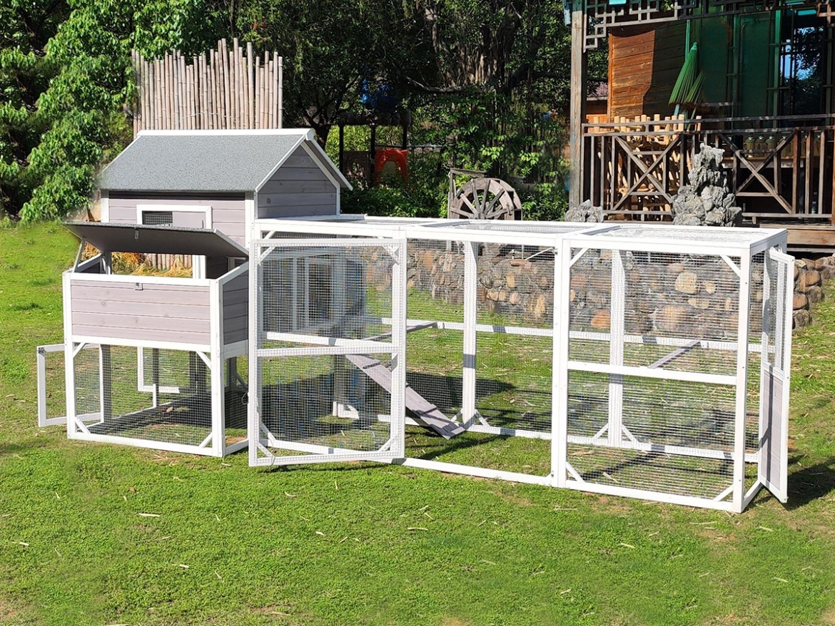 Tyúkól Scobax Harper