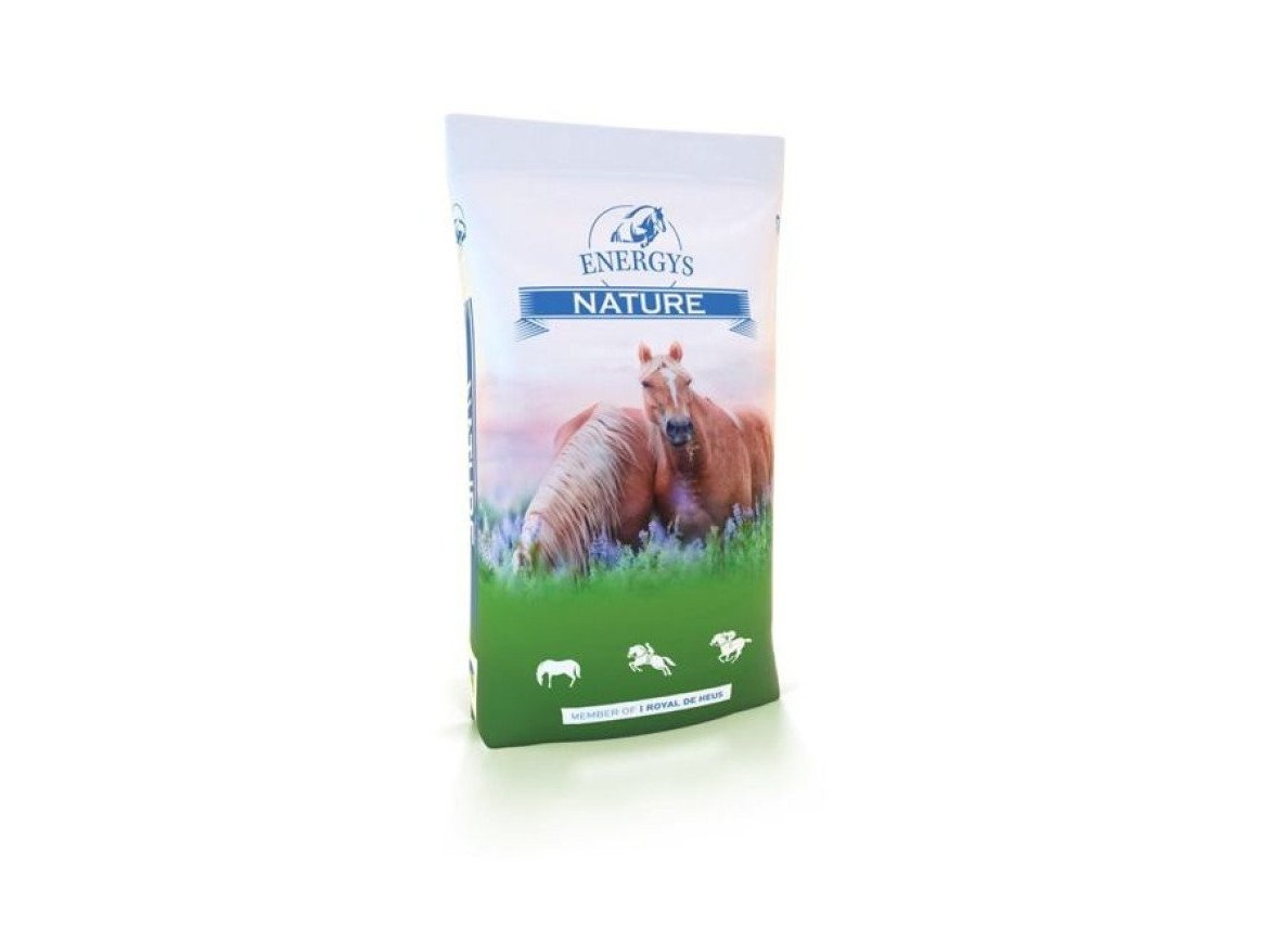 Scobax DE HEUS - Energys Mineral 10 kg, 25 kg