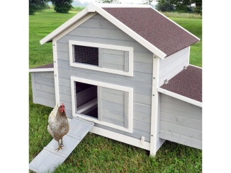 Hydina –  Scobax Weston