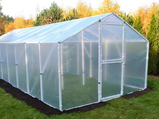 Záhradné foliovníky – Scobax Mandava