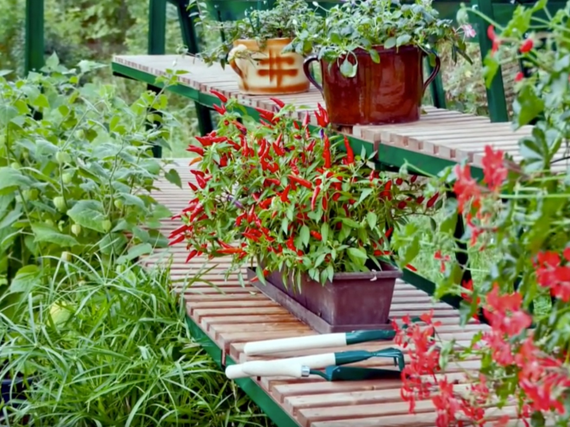 Pěstební stůl Limes Primus pěstební rošt