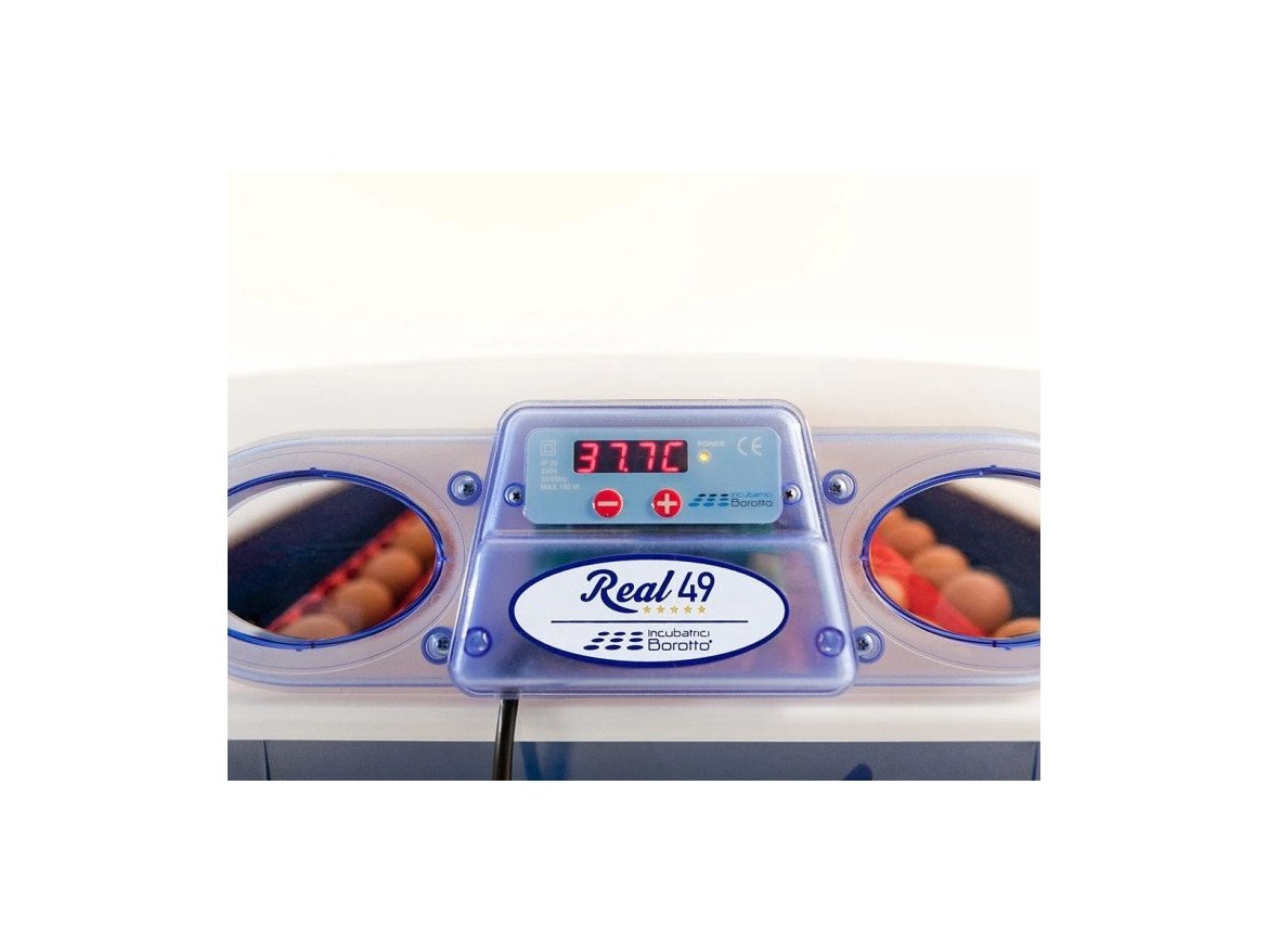 Scobax Líheň na vejce BOROTTO REAL 49