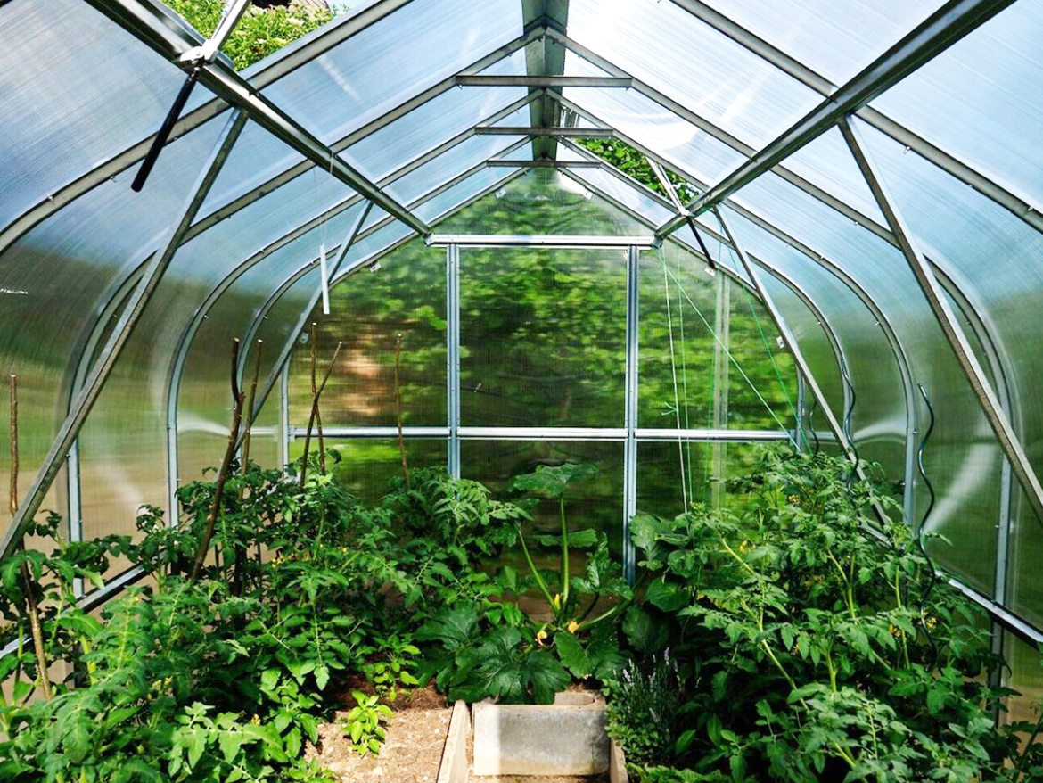 Zahradní skleník z polykarbonátu Gutta Gardentec Standard