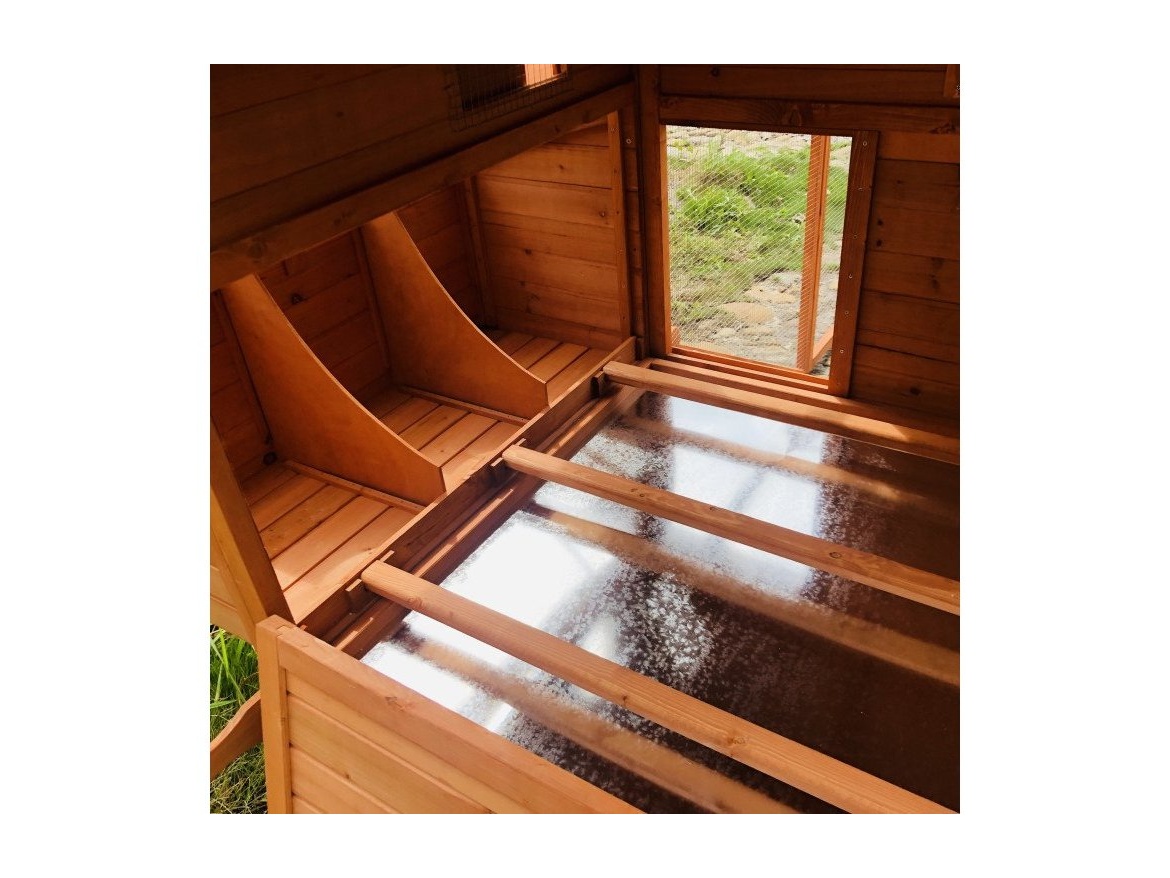 Kurník Scobax Connor