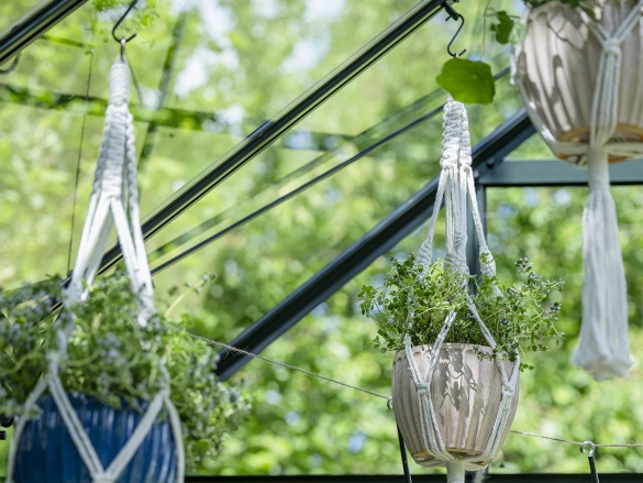 Klasický skleník Halls Icon Planthouse 8