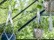 Üvegház Halls Icon Planthouse 8