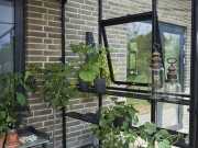 Zimní zahrada Halls Qube Lean-to Wall