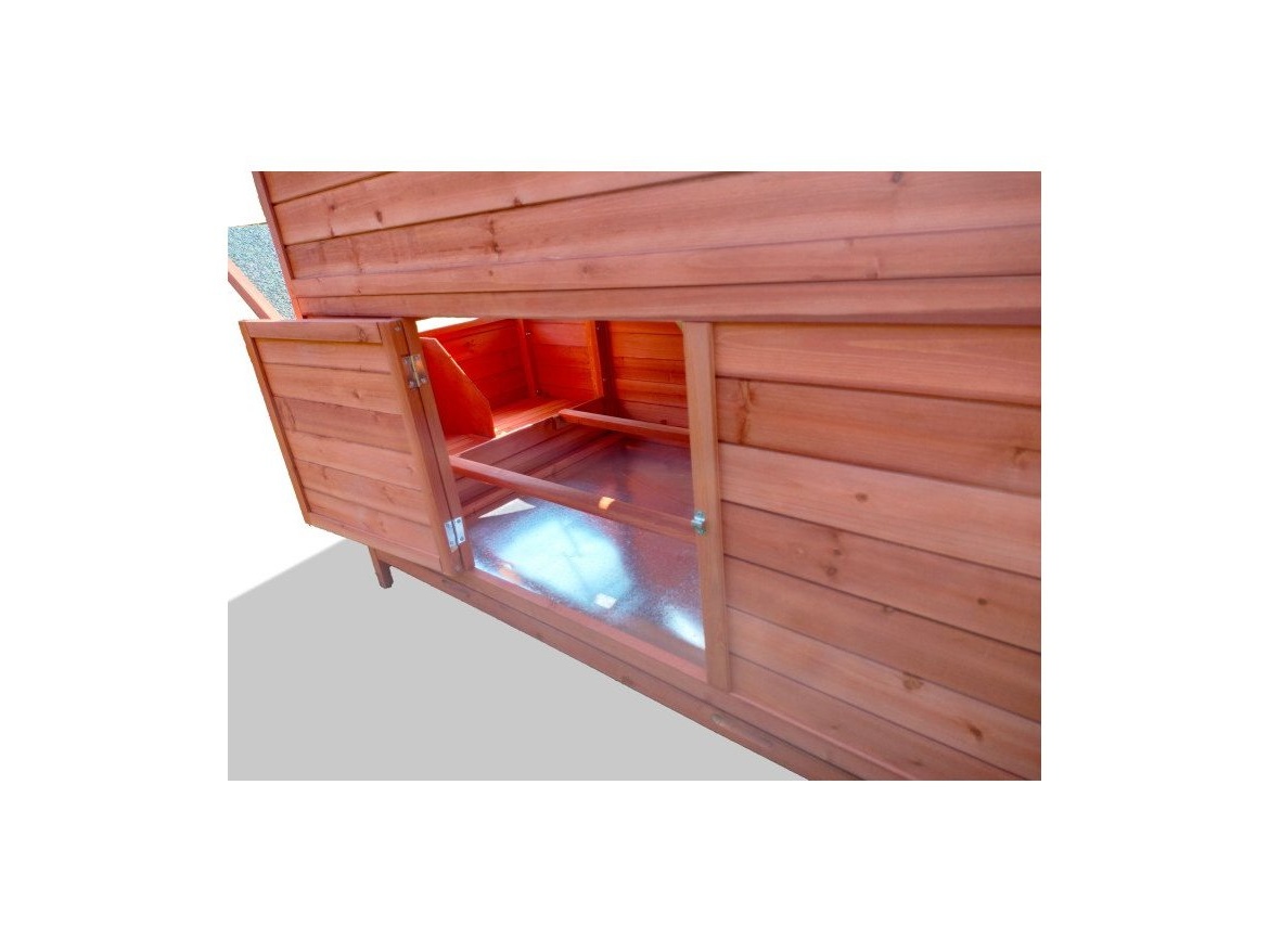 Tyúkól Scobax Duckens