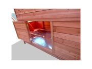 Tyúkól Scobax Duckens