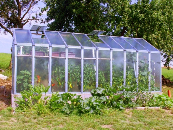 Skleník Limes Variant