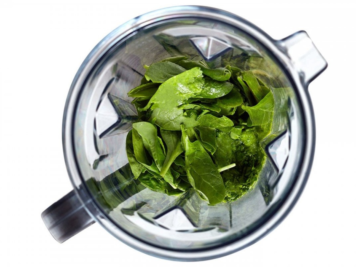 G21 Blender  Perfection red