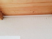 Stop hnízdům Gutta