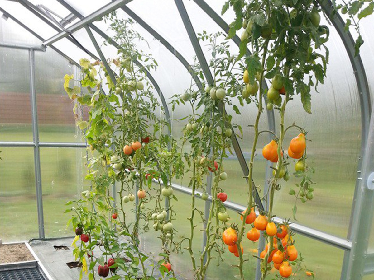 Záhradný skleník z polykarbonátu Gutta Gardentec Standard