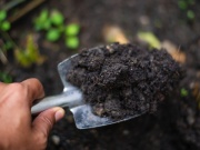 Kompostování polopatě