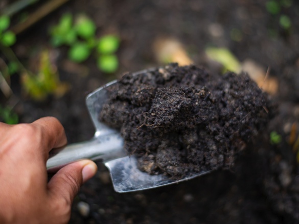 Kompostování polopatě