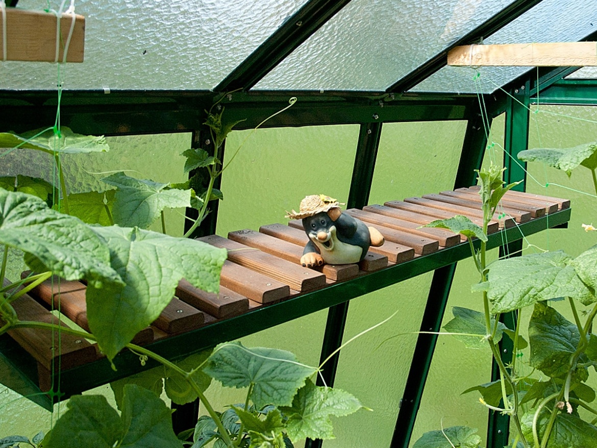 Výplň (drevený rošt) Limes Výplň police Primus (dřevěný rošt)