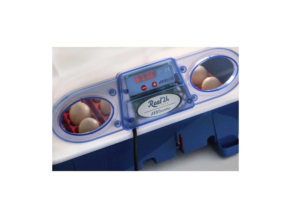 Scobax Líheň na vejce BOROTTO REAL 24