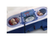 Scobax Líheň na vejce BOROTTO REAL 24