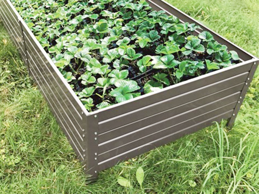 Gutta Vyvýšený záhon