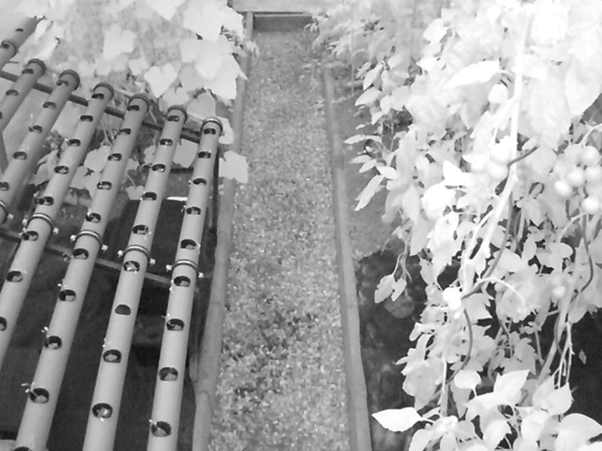 Dohledová kamera Sensorie