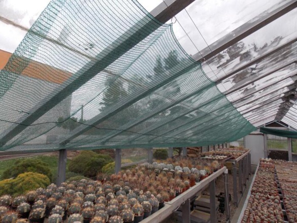 Tieniaca tkanina Tenax Soleado Pro