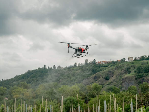 Autonóm üvegházunk egy hortibotanikus napon