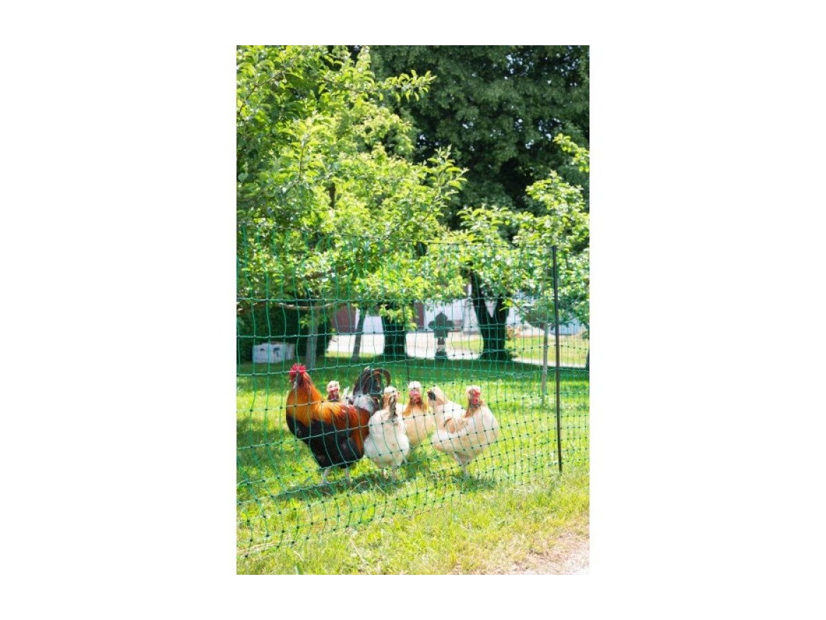 Scobax Síť premium nevodivá pro drůbež 106 cm, 2 hroty, 50 m, zelená