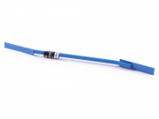 Spárovačka Scobax Spárovačka Obojživelník