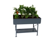 Stolný záhon Limes Soza