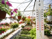 A kiegészítők üvegházat készítenek