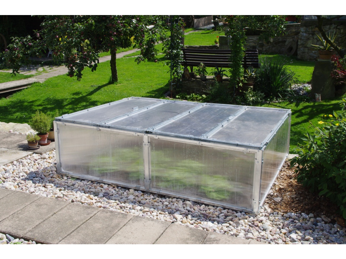 BOX Scobax Growspot BOX 4