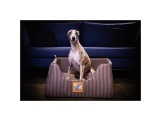 Scobax CROCODOG ORTHOPEDIC PET BED