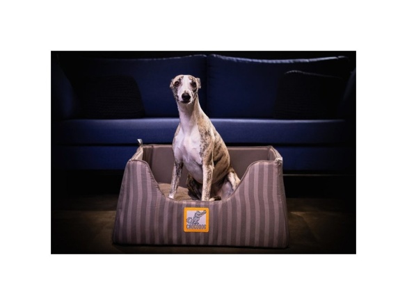 Scobax CROCODOG ORTHOPEDIC PET BED