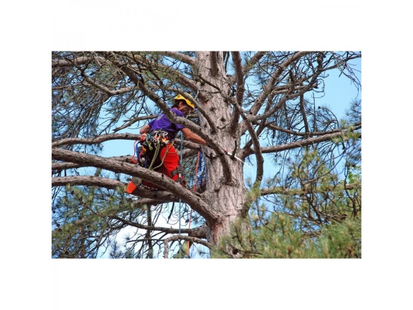 Ruční pila Silky Tsurugi Curve 330-7.5