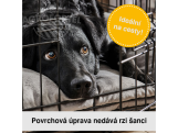 Scobax Přepravní box na psa  - velikost XXL