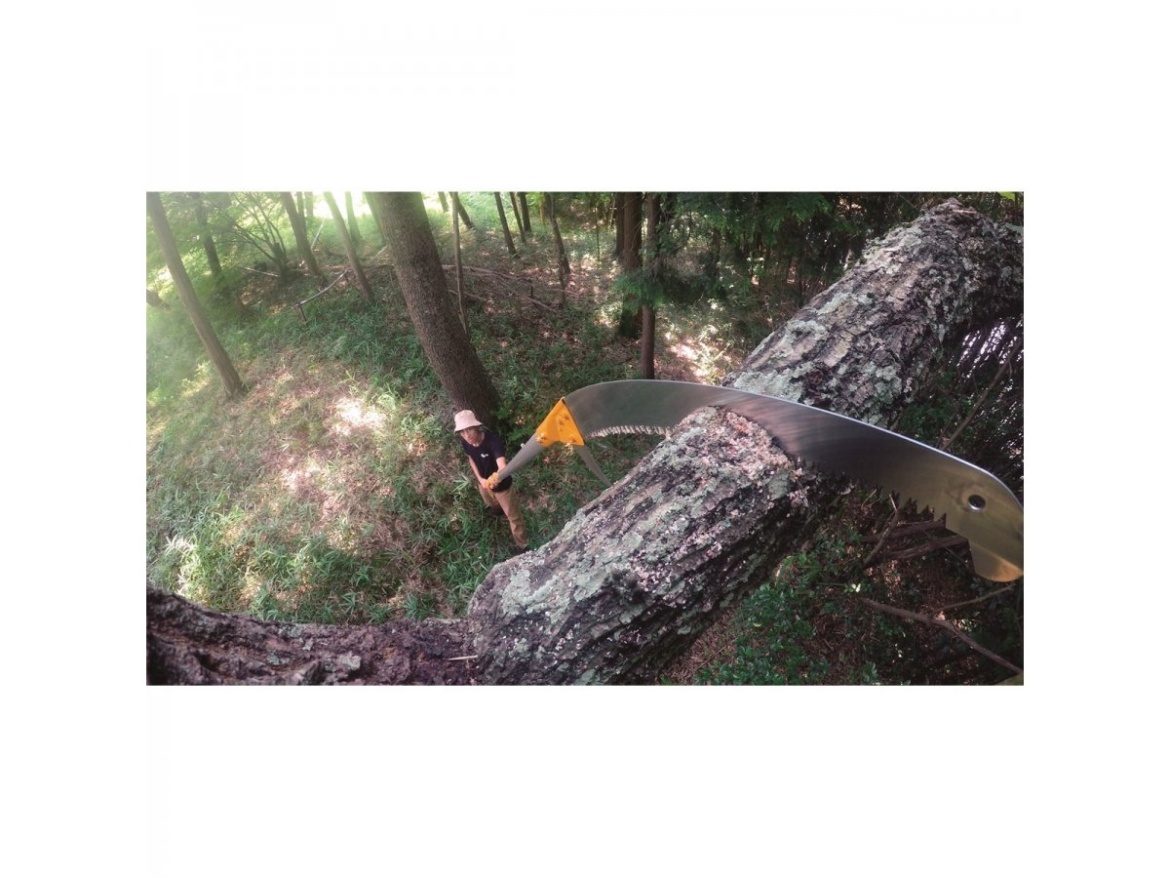 Teleskopická pila Silky Hayate 6100-6.5