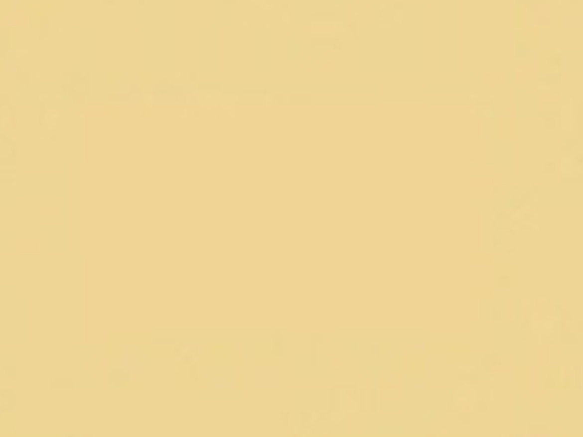 Baumit Silikon Baumit Baumacol