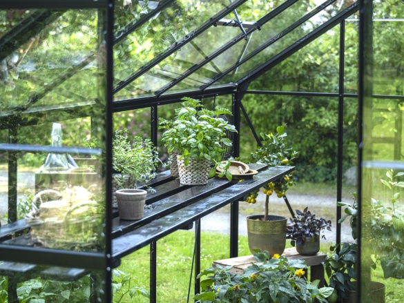 Skleník Halls Popular