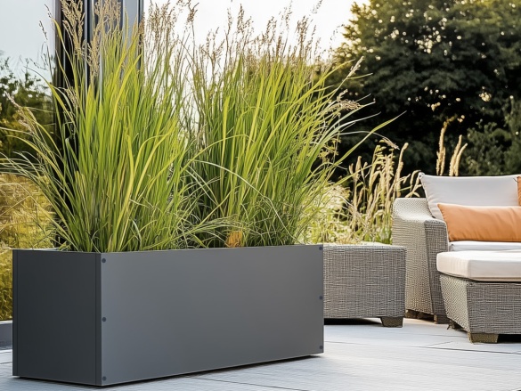 Doboz Scobax IsoPlant