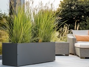 Truhlík Scobax IsoPlant