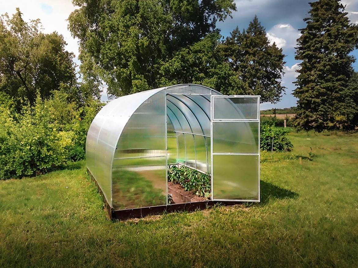 Üvegház Scobax Vitamin