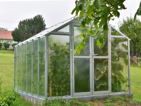 Skleník Limes Variant