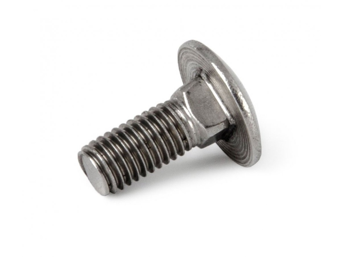 G21 Šroub  vratový M10x25, DIN 603, nerez