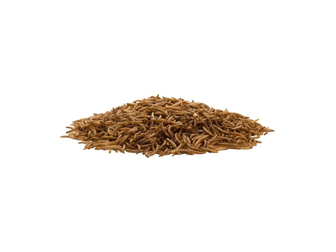 Scobax Moučný červ 1 kg