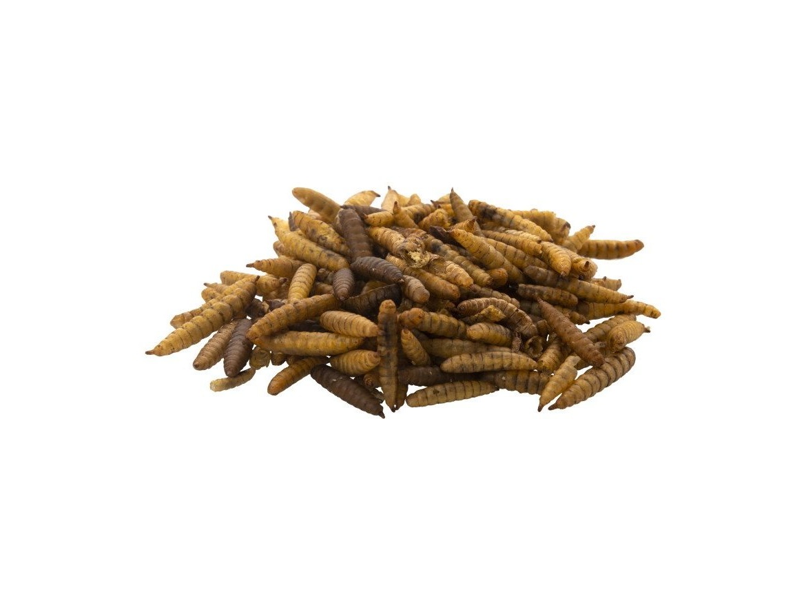Scobax Bráněnka 5 kg