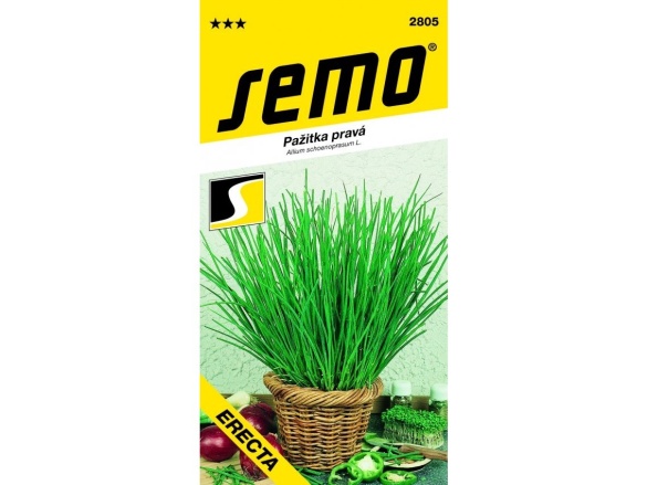 Semo Pažitka - Erecta, vzpřímená 2g