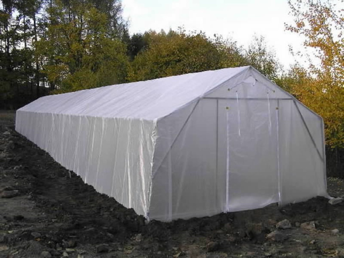 Foliovník Scobax Growspot Cannabo 5