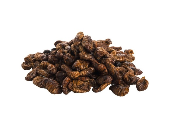 Scobax Bourec morušový 3l (800g)