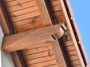 Ochranné hroty proti vtákom G21 Ochranné hroty proti ptákům