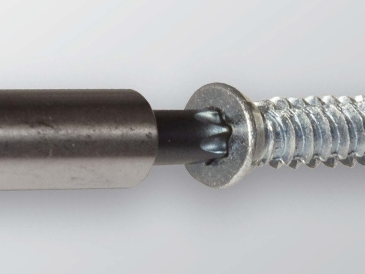 Rawlplug Bit TORX25